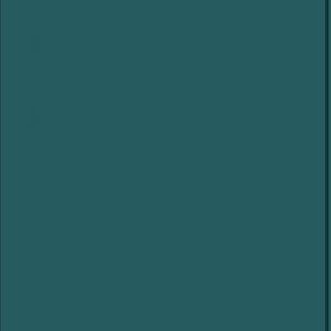 Meet your Posher, Madyson